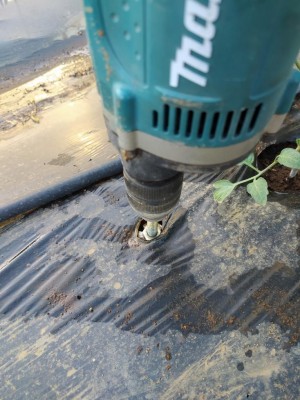 24 IMG_20240504_190429_Edited.JPG (116.73 KiB) Osservato 406 volte 24 IMG_20240504_190429_Edited.JPG