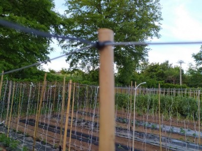 5 IMG_20240506_195549.jpg (169.34 KiB) Osservato 417 volte 5 IMG_20240506_195549.jpg