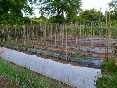 7 IMG_20240506_195534.JPG (179.37 KiB) Osservato 417 volte 7 IMG_20240506_195534.JPG