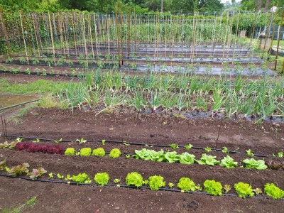 IMG_20240507_124442.JPG (243.79 KiB) Osservato 382 volte IMG_20240507_124442.JPG