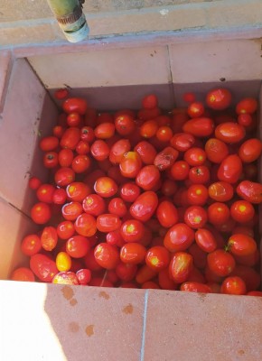 6 _Edited.JPG (77.5 KiB) Osservato 518 volte 6 _Edited.JPG