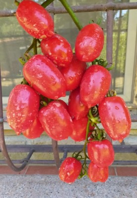 7_Edited.JPG (86.13 KiB) Osservato 518 volte 7_Edited.JPG