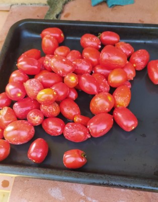 8_Edited.JPG (85.76 KiB) Osservato 518 volte 8_Edited.JPG