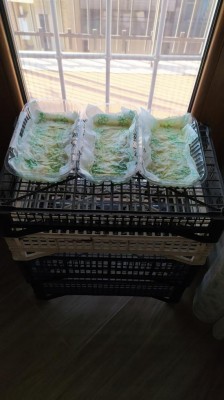 2 .trashed-1741611231-IMG_20250206_094039_Edited.JPG (70.99 KiB) Osservato 2142 volte 2 .trashed-1741611231-IMG_20250206_094039_Edited.JPG