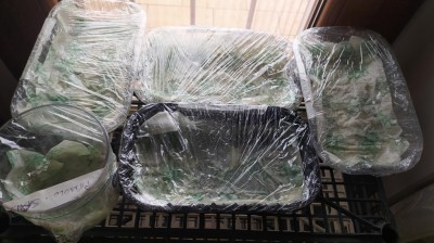 3 .trashed-1742065985-IMG_20250208_135533_Edited.JPG (98.06 KiB) Osservato 1652 volte 3 .trashed-1742065985-IMG_20250208_135533_Edited.JPG