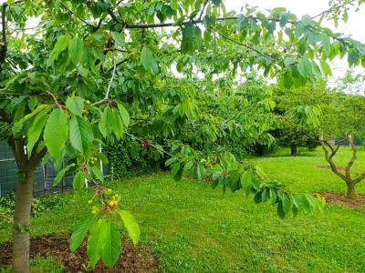 6 IMG_20250507_105647_Edited.JPG (189.99 KiB) Osservato 292 volte 6 IMG_20250507_105647_Edited.JPG