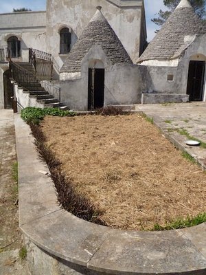 dopo.jpg (128.11 KiB) Osservato 2062 volte dopo.jpg