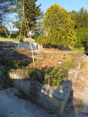 aiuola parzialmente piantata.jpg (131.8 KiB) Osservato 1570 volte aiuola parzialmente piantata.jpg