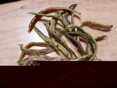 DSCN3992.JPG (141.54 KiB) Osservato 1365 volte DSCN3992.JPG