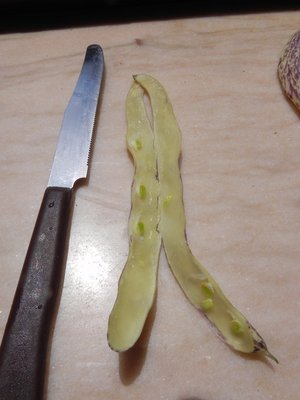 DSCN3994.JPG (113.15 KiB) Osservato 1365 volte DSCN3994.JPG