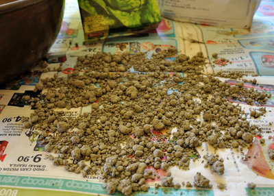 seedbombs.JPG (244.67 KiB) Osservato 1722 volte seedbombs.JPG