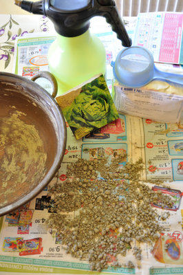 seedbombs3.JPG (241.01 KiB) Osservato 1720 volte seedbombs3.JPG