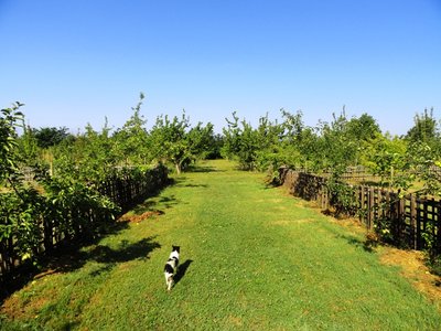 viale1.JPG (230.29 KiB) Osservato 1806 volte viale1.JPG