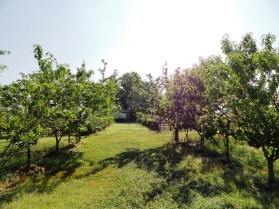 viale2.JPG (250.76 KiB) Osservato 1806 volte viale2.JPG