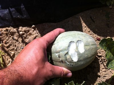 Immagine 079.jpg (190.06 KiB) Osservato 6156 volte Immagine 079.jpg