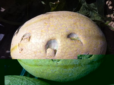 Immagine 080.jpg (180.17 KiB) Osservato 6156 volte Immagine 080.jpg