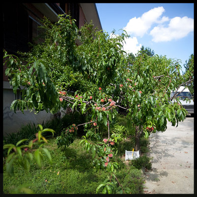 _00000-(2).jpg (143.2 KiB) Osservato 1614 volte _00000-(2).jpg