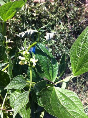 IMG_0676.jpg (273.48 KiB) Osservato 956 volte IMG_0676.jpg