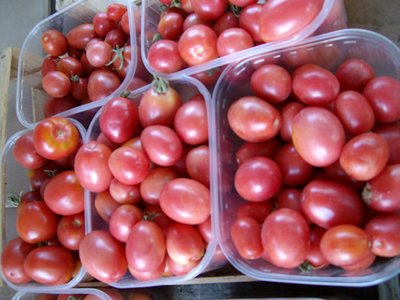 ALIM0237 xx.JPG (303.65 KiB) Osservato 508 volte ALIM0237 xx.JPG