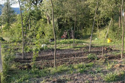 IMG_1215.jpg (82.42 KiB) Osservato 687 volte IMG_1215.jpg