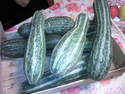 Fotografie-0032.jpg (129.87 KiB) Osservato 1176 volte Fotografie-0032.jpg