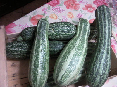 Fotografie-0034.jpg (133.01 KiB) Osservato 1176 volte Fotografie-0034.jpg