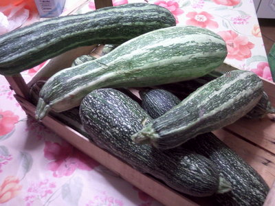 Fotografie-0035.jpg (132.65 KiB) Osservato 1176 volte Fotografie-0035.jpg