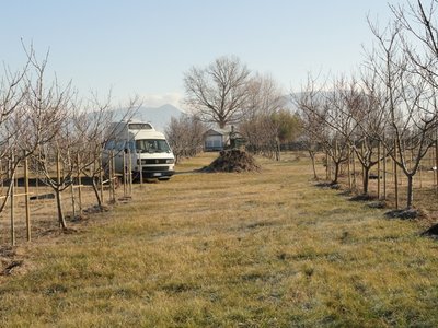 riposo.JPG (211.42 KiB) Osservato 1456 volte riposo.JPG