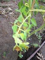 IMG_0562.jpg IMG_0562.jpg