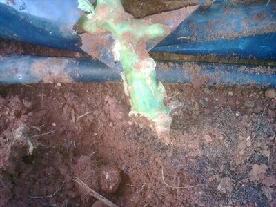 Immag1558.jpg (44.85 KiB) Osservato 569 volte Immag1558.jpg