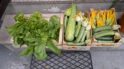 09062012958.jpg (195.5 KiB) Osservato 885 volte 09062012958.jpg