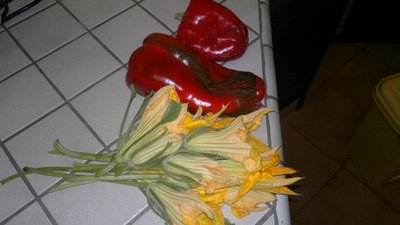 I primi peperoni!!! / 220620121032.jpg 220620121032.jpg