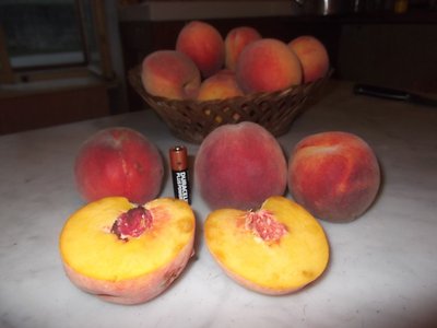 Le mie pesche, belle e buone, portate a maturazione da alberi non innestati cresciuti direttamente da seme nato spontaneamente. / DSCF1360.JPG DSCF1360.JPG