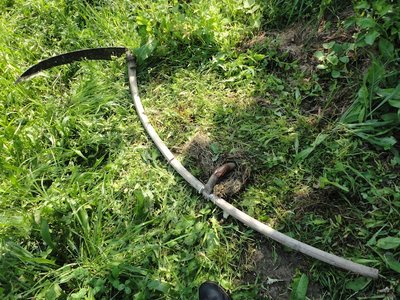 La falce "a mazza da hockey" che ho inventato per potere falciare in corridoi stretti per tagliare l'erba ai bordi delle colture velocemente e senza chinarsi (il manico rimane dritto e non ha bisogno di ampie rotazioni per funzionare). / DSC00308.JPG DSC00308.JPG