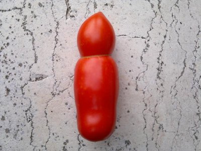 29082012267.jpg (93.54 KiB) Osservato 630 volte 29082012267.jpg