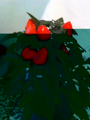 m1.JPG (108.19 KiB) Osservato 542 volte m1.JPG