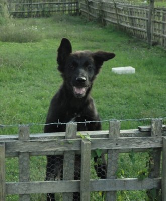 Uana / DSC01352.JPG DSC01352.JPG