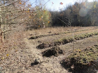 Vista dall'altra parte del campo / DSC03671.JPG DSC03671.JPG