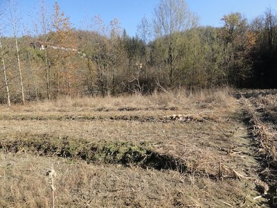 Guardando verso l rio / DSC03679.JPG DSC03679.JPG