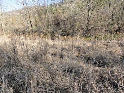 VIcino al rio / DSC03688.JPG DSC03688.JPG