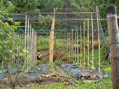 IM003140.JPG (71.72 KiB) Osservato 589 volte IM003140.JPG