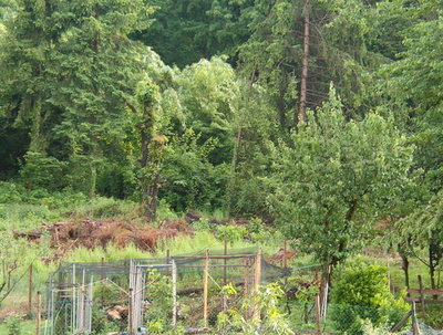 IM003133 (2).JPG (90.43 KiB) Osservato 589 volte IM003133 (2).JPG