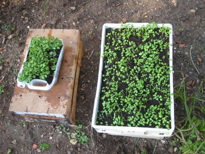 IMG_3640.JPG (272.86 KiB) Osservato 2127 volte IMG_3640.JPG