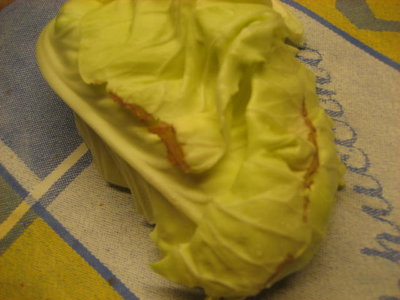 orto 2013 038.jpg (50.31 KiB) Osservato 527 volte orto 2013 038.jpg