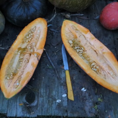 IMG_3297.JPG (99.13 KiB) Osservato 657 volte IMG_3297.JPG