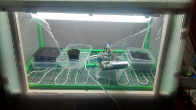 Prime prove del semenzaio / Prime prove_mod.jpg Prime prove_mod.jpg