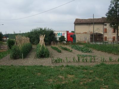 DSCF4729.JPG DSCF4729.JPG