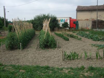 DSCF4730.JPG DSCF4730.JPG