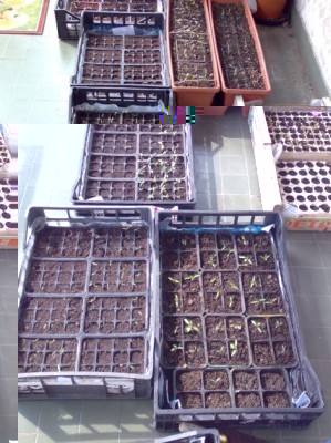 4.JPG (61.93 KiB) Osservato 1439 volte 4.JPG