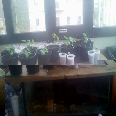 1187073_687868617922690_1197177507_n.jpg (96.09 KiB) Osservato 531 volte 1187073_687868617922690_1197177507_n.jpg